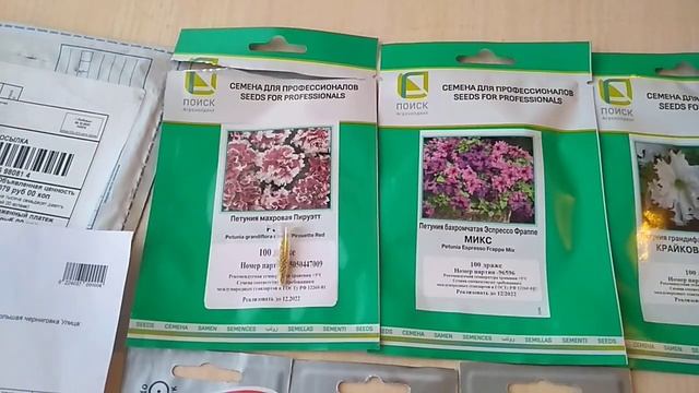 Где купить  проф. семена Петунии.?