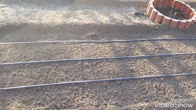 ДАЧА.Что сделано .Начало сезона!