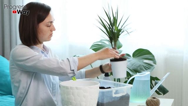 После Этого Даже Вялые и Пожелтевшие Домашние Цветы Все Оживают! Прут Во Всю и Зацветают! смотреть онлайн