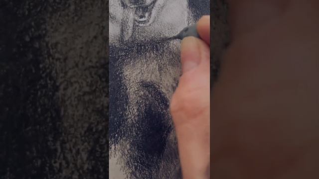 Little charcoal drawing details + a kneaded eraser for this work in progress #wip #charcoaldrawing смотреть онлайн