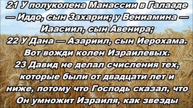 Тихое время с Живой Жизнью: 1 Паралипоменон 27:1–24 (24092018) смотреть онлайн