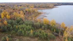 Озеро Белое Лужского р-на Ленинградской обл. облёт по периметру в октябре 2022.