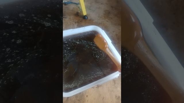 Для авито. Продаю мед оптом.