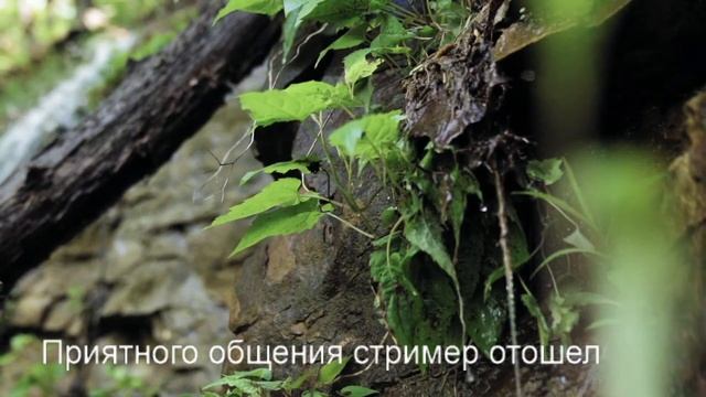 #Stream THE LAST OF US ЛЮБЛЮ КЛУБНИКУ смотреть онлайн