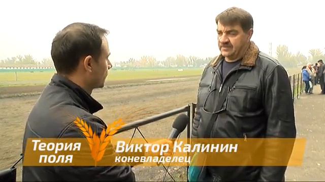 Теория поля: в гостях у конюха смотреть онлайн