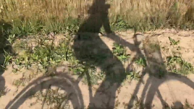 Наша Белоруссия. Жизнь. смотреть онлайн
