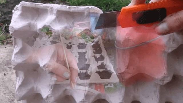 Креативный «САМОДЕЛЬНЫЙ» СПОСОБ ПОСЕВА МОРКОВИ – всегда РОВНАЯ И КРУПНАЯ смотреть онлайн