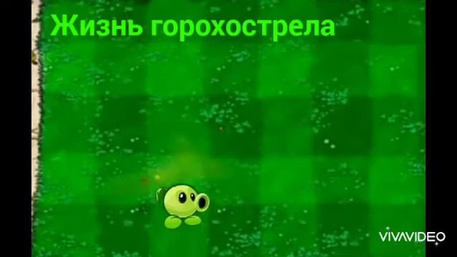 жизненый цикл горохострела смотреть онлайн