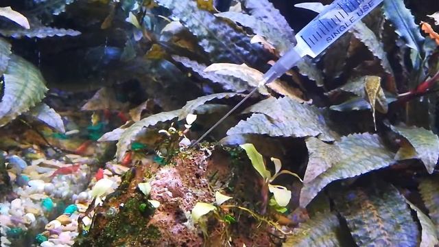 Сайдекс в аквариум смотреть онлайн