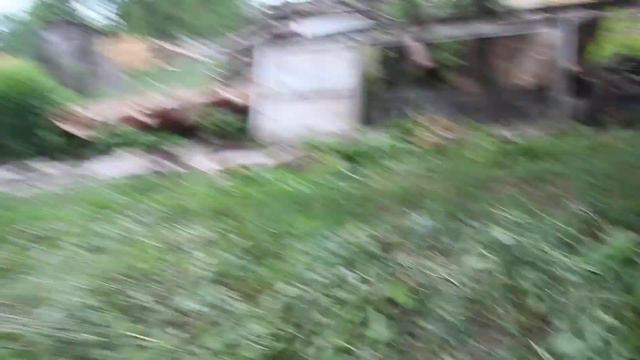 мопсы смотреть онлайн