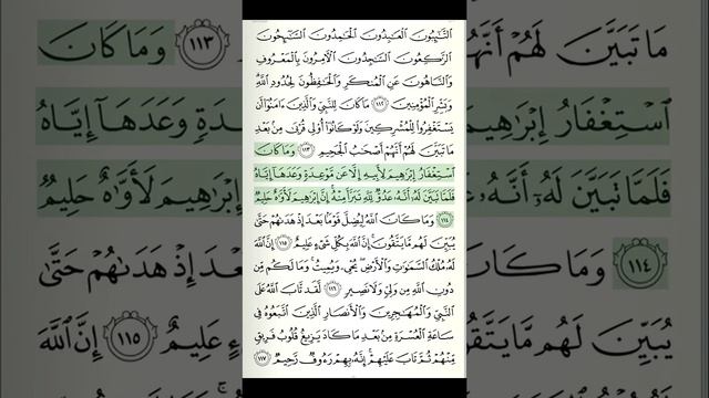 Al-Quran Recitation | Juzu 11 | Page 205 | Surah Al-Taubah Verse 112-117 | Qari Yasser ad-Dussary смотреть онлайн