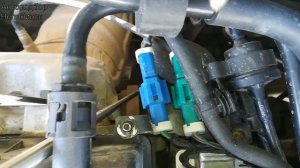 Где находится номер двигателя на Форд Фокус - 2 - 1.8 и 2.0 литра