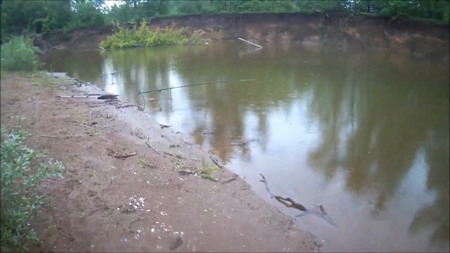 ✔ ХОРОШАЯ рыбалка в начале лета 🎣. Сом, сопа, окуни, голавлики и ерши 🐟✔ смотреть онлайн