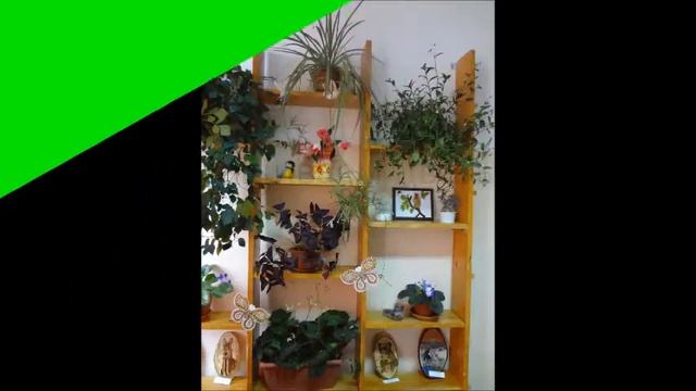 Ревякинская СОШ смотреть онлайн