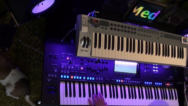 Modern Talking Medley Played by Albert on Yamaha Genos смотреть онлайн