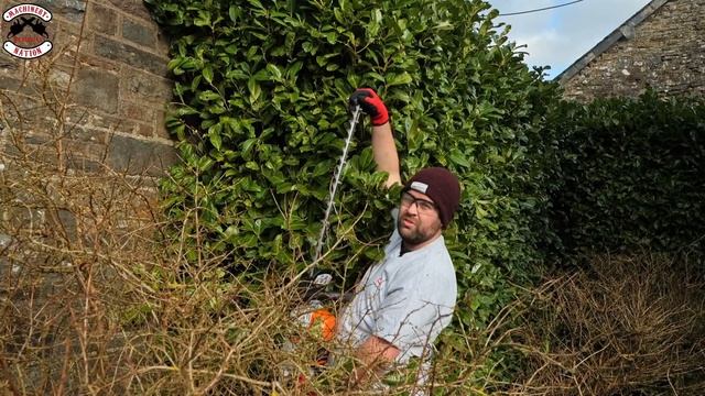 STIHL's Brand NEW HSA 60 Hedge Trimmer! смотреть онлайн