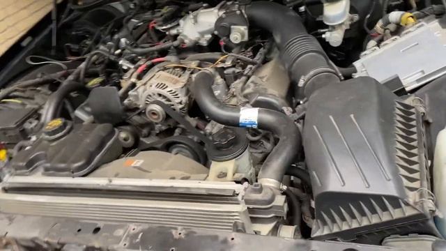 LAPD Crown Vic starting смотреть онлайн