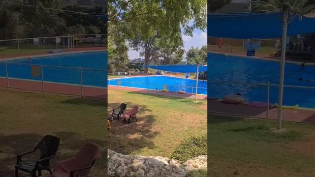 День рождения типичной жены араба смотреть онлайн