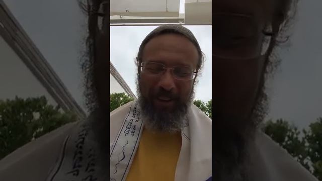 РАДОСТЬ СТРАДАНИЯ Дмитрий Радышевский смотреть онлайн