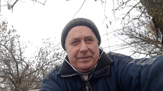 Что лучше стетоскоп или фонендоскоп при прослушивании пчелиных семей? | 261. 00 смотреть онлайн