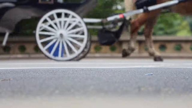 Пухлый ЛОРД или история похудения Скайлера. смотреть онлайн