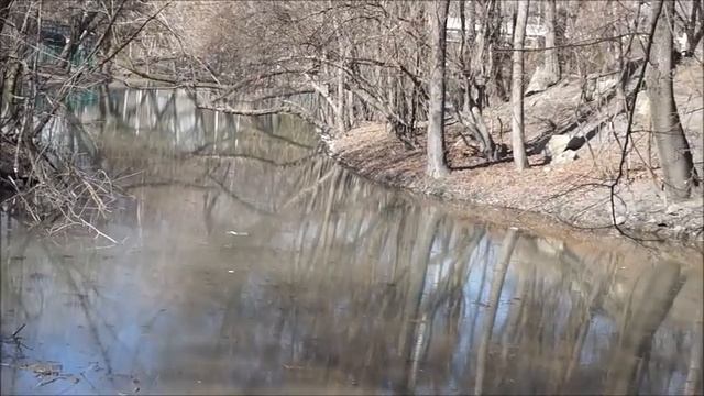 г Владикавказ - столица Осетии_ Алании. смотреть онлайн