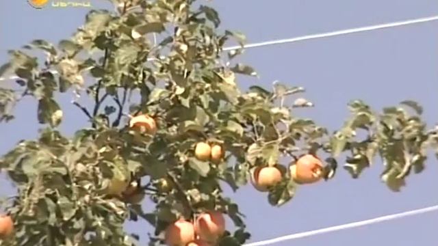 Լճաշեն գյուղ - Лчашен деревня смотреть онлайн