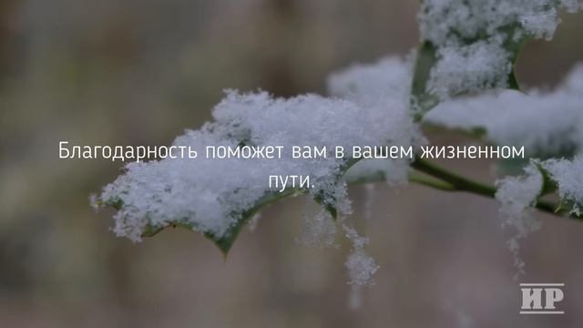 ПРИВЛЕКИ счастье за 24 часа или закон притяжения смотреть онлайн