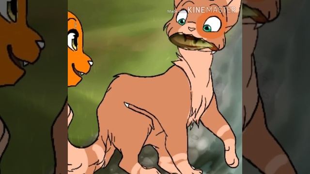 Клип |•| Коты Воители |•| Я подарю небо , я подарю звёзды ~ Лучшей подруге ~ смотреть онлайн