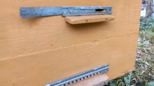 Какие летки в ульях оставлять открытыми на зиму