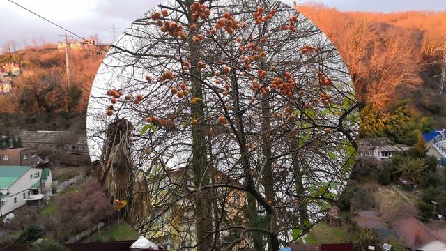 Лучезарные краски осени. смотреть онлайн