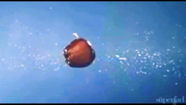 12стульев смотреть онлайн