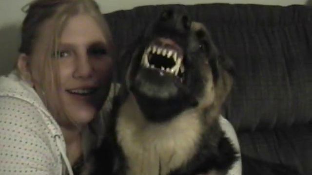 shepherd mad смотреть онлайн