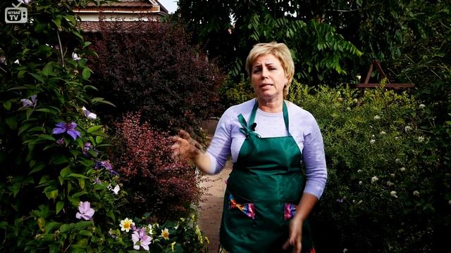 Осенняя обрезка плодовых деревьев Кустарников и Цветов смотреть онлайн