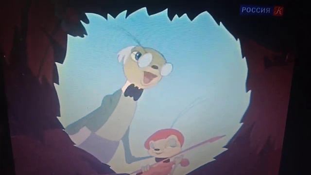 Первая скрипка фрагмент