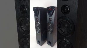 Акустическая система ELTRONIC 20-80 HOME SOUND