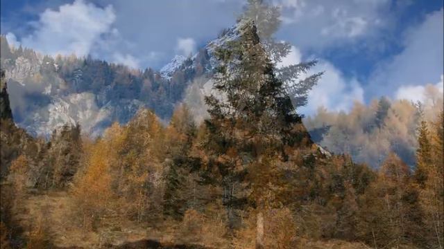 Massimo Dei Cas - Toccata e fuga n. 66 per piano in mi min. Toccata and fugue n. 66 in E minor смотреть онлайн