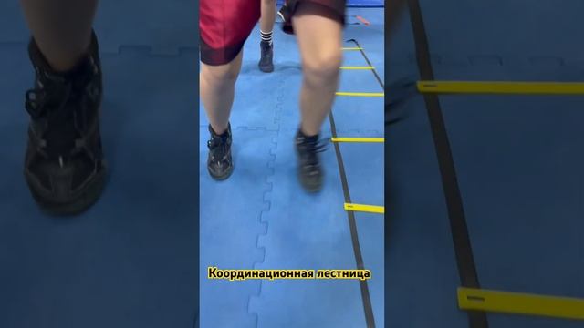 14 ноября 2023 г. смотреть онлайн