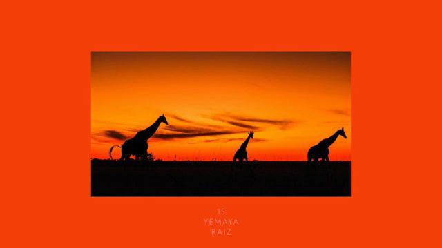 【 Music Playlist 】リズミカルなアフリカ音楽🌞｜ African Music | African Savannah | Relax, Study & Ambience