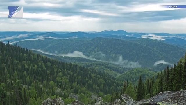 Соблюдайте простые правила, чтобы не заблудиться в лесу смотреть онлайн