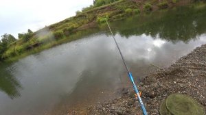 Причины плохого клёва рыбы . Совет рыбакам