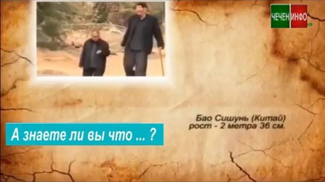 ВЫСОКИЕ СПОРТСМЕНЫ БЫЛИ ВСЕГДА У ЧЕЧЕНЦЕВ В ЛЮБЫХ КОТЕГОРИЯХ смотреть онлайн