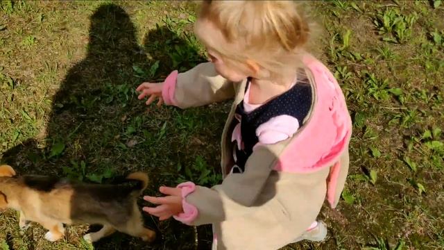 Мы нашли Люси на парковке в Слуцке. смотреть онлайн