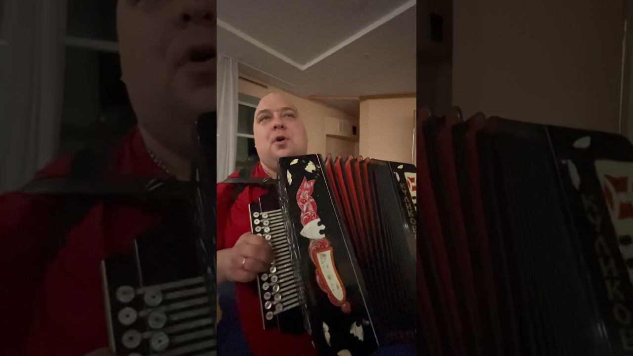 Гуляемс! #harmonika #частушка смотреть онлайн