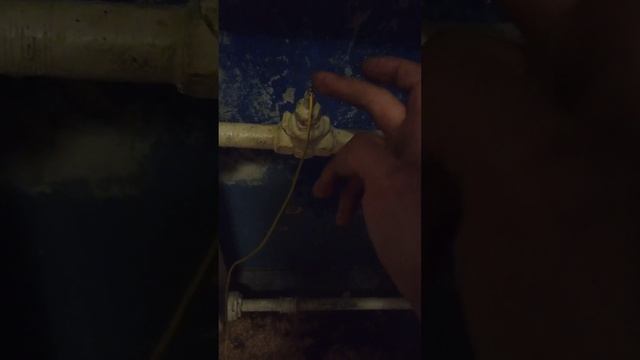 простой бтг . реально работает смотреть онлайн