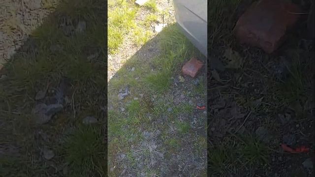 Законченный вид ручек дверей Шевроле Кобальт. смотреть онлайн