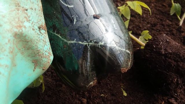 ВРЕДНЫЙ СОВЕТ смотреть онлайн