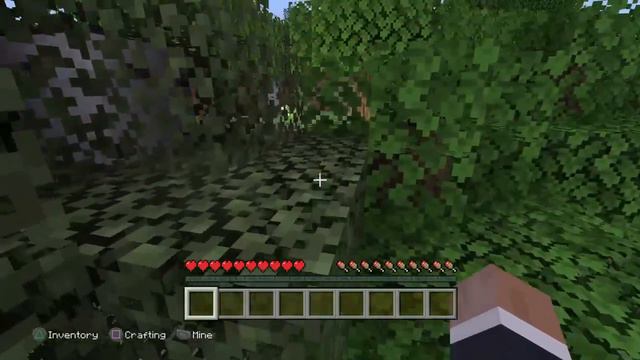Disc survival stream|ps4 minecraft смотреть онлайн