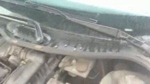 Расположение VIN номера на Peugeot 206