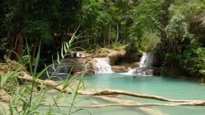 ?8 часов- Звуки природы, Шум ручья, Пение птиц и Звуки леса - Для релаксации, сна, медитации, отдых